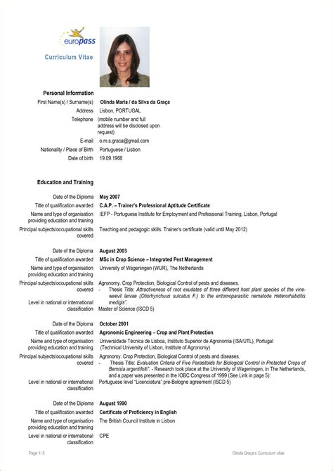 Example Of Good Europass Cv In 2020 Cv Template Word Cv Template Porn