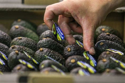 Mercadona Compra M S De Toneladas De Aguacate De M Laga