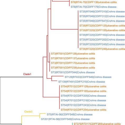 Phylogenetic Relationships Among Composite Nucleotide Sequences Of