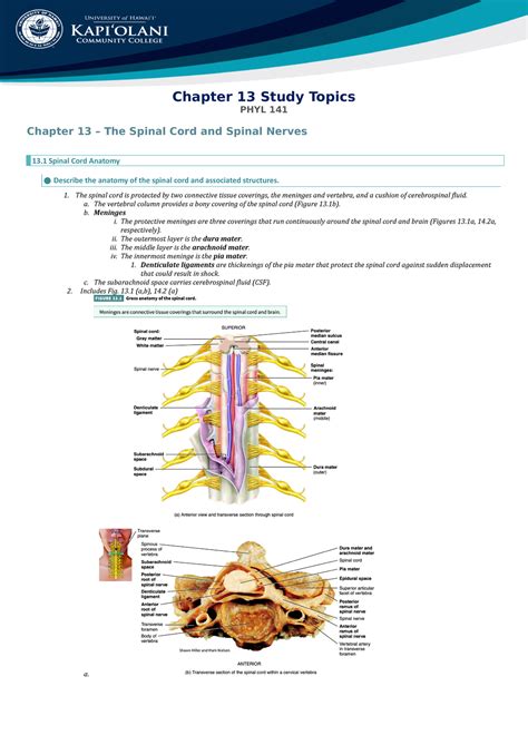 Chapter 13 Study Topics Chapter 13 Study Topics PHYL 141 Chapter 13