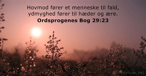 5 Juli 2023 Dagens Bibelvers Ordsprogenes Bog 29 23 DailyVerses Net