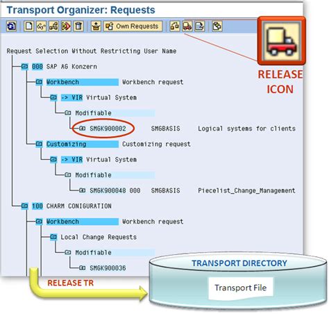 What Is Sap Transport Request How To Importexport Tr