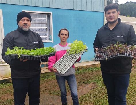 Doa O De Mudas De Hortali As No Casep De Ca Ador Ineces Santa Catarina