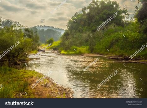 Mary River Gympie Stock Photo 1272763387 Shutterstock