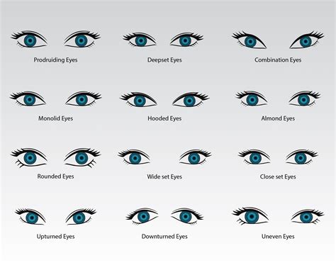 Select Your Nose Shape And Well Tell You About Your Personality