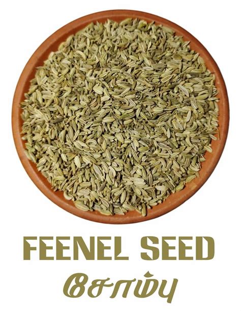 Ariharan Stores Saunf Fennel Seeds Sombu Packaging Type Gunny Bag