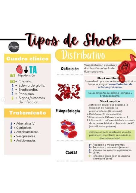 Tipos De Shock Distributivo YUDOC ORG UDocz