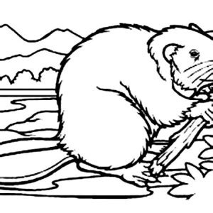 Beaver Dam Drawing at GetDrawings | Free download