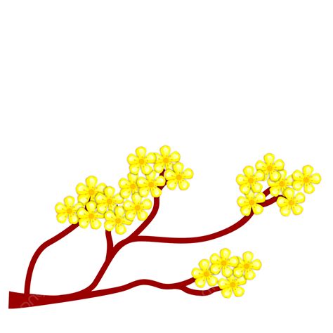 Apricot Blossom Yellow Hd Transparent Yellow Apricot Blossom Vector 05