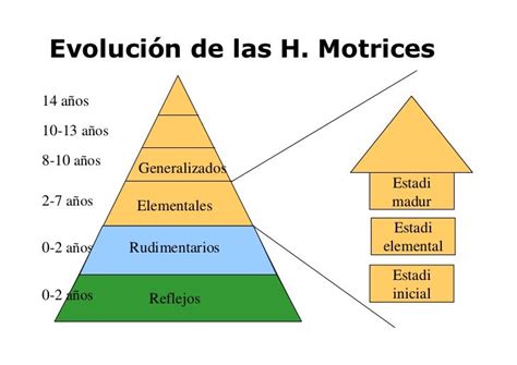 Orgenes Del Desarrollo Motor Y De Las Habilidades Motrices