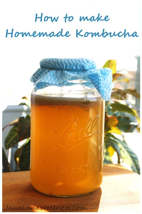 How To Make Homemade Kombucha By Jesse Lane Wellness