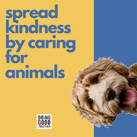 Showing Kindness Animals