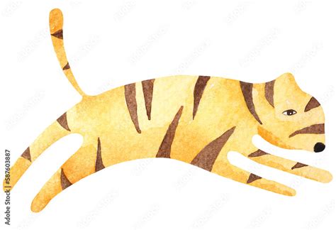 Watercolor Tiger Cuteillustration Tiger Cartoon With Watercolorhand