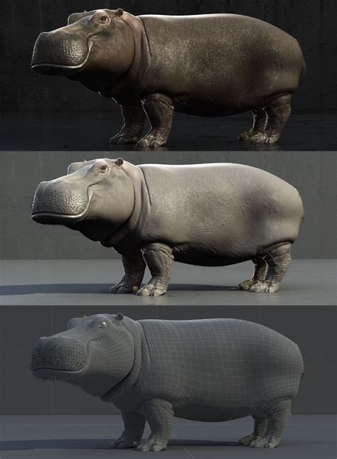 Hippo Rigged 3d 모델 199 Max Free3d