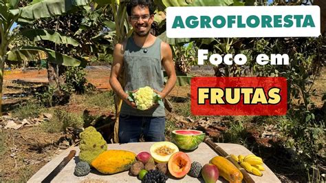 Como Plantar Uma Agrofloresta Foco Em Frutas Produ O Aos