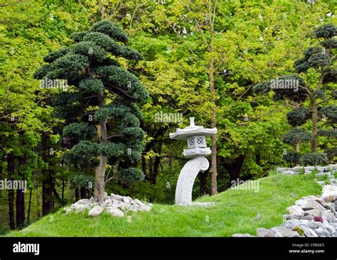 Japanese Ornamental Trees