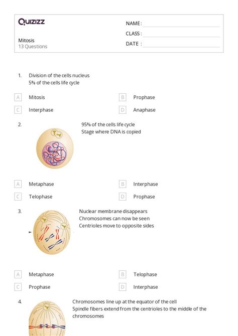 The Cell Cycle And Mitosis Worksheets For Th Grade On Quizizz