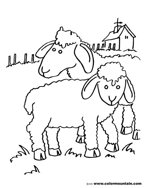 Sheep Outline Drawing At Explore Collection Of