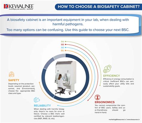 An Infographic Guide For Choosing A Biosafety Cabinet Kewaunee