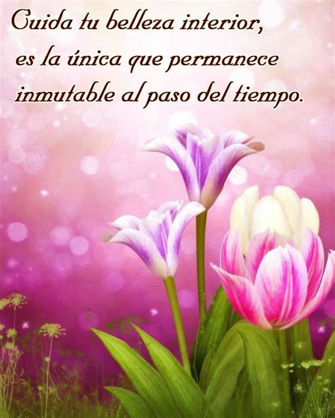 Frases Y Citas Hermosas Para Compartir HermosasImagenes Net