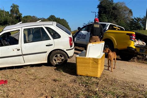 Polícia Militar apreende mais de 700 quilos de drogas em operações no