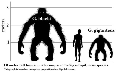 Gigantopithecus Giganteus