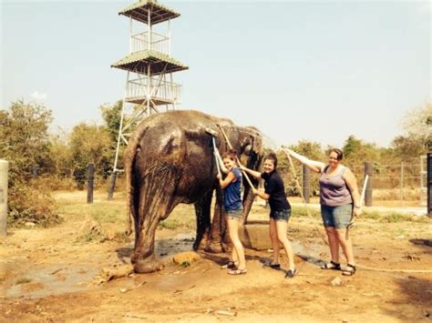 Thailand wildlife sanctuary volunteering vacation | Responsible Travel