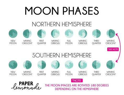 Moon Phases With Names Printable Planner Stickers Northern AND | Etsy