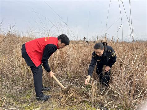 植树造林添新绿 提升人居环境添活力图片新闻新隆镇