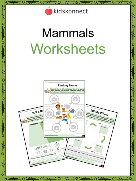 Science: Identify animals Mammal or amphibian? | Worksheet ...