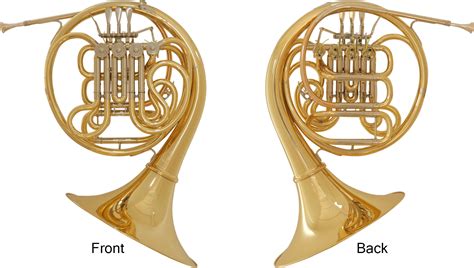 The Structure Of The Hornthe Structure Of The Horn Musical Instrument Guide Yamaha Corporation