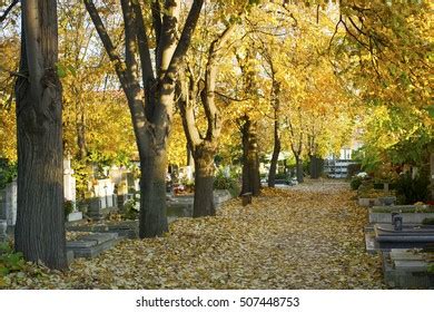 All Souls Day Cemetery Stock Photo 507448753 | Shutterstock