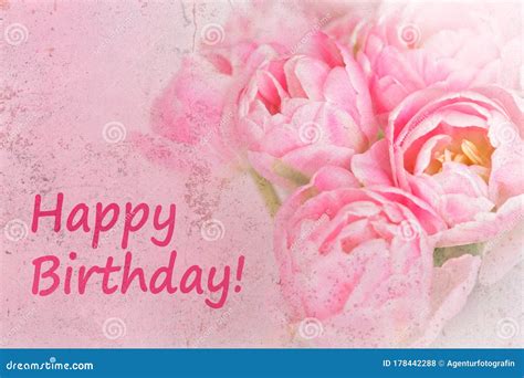 Pink Flowers Text Happy Birthday Stock Photo Image Of Pink Bloom