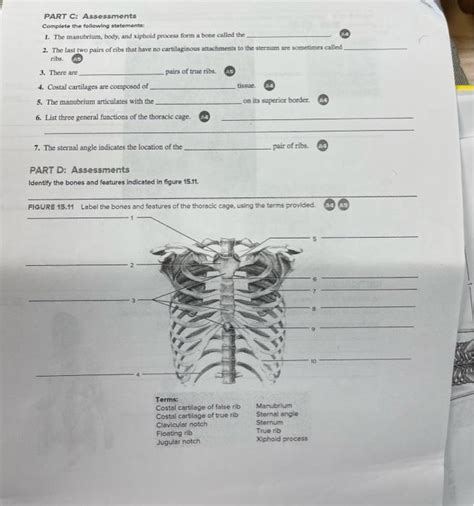 Sedcesfigure Identify The Bones And Features Chegg