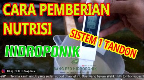 Cara Pemberian Nutrisi Ab Mix Hidroponik Dalam Sistem Tandon Semua