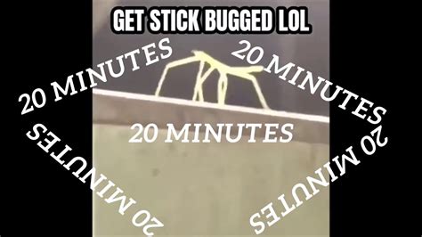 GET STICK BUGGED LOL 20 MINUTES YouTube