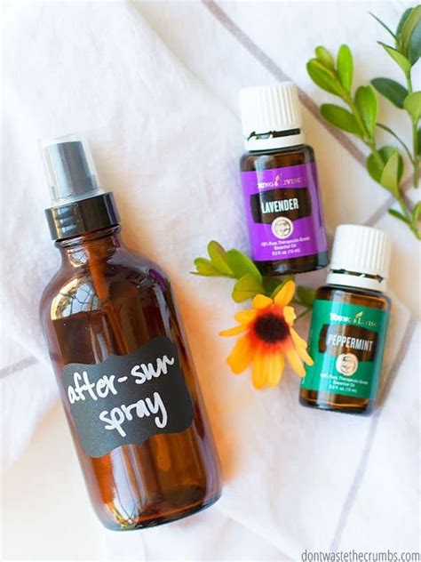 Easy DIY After Sun Spray Recipe Don T Waste The Crumbs