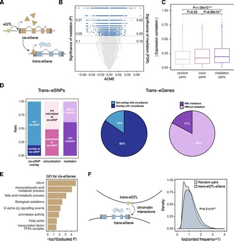 Cis Mediation And Inter Chromosomal Interactions Explain Candidate Download Scientific Diagram