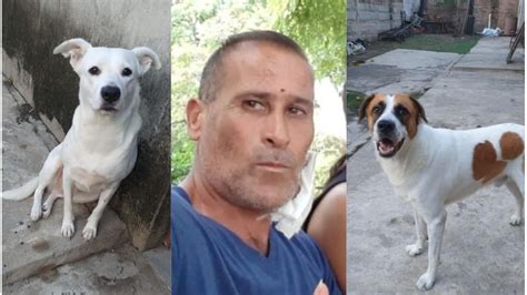 Buscan Una Familia Para Los Perros Del Hombre Asesinado En Guadalupe