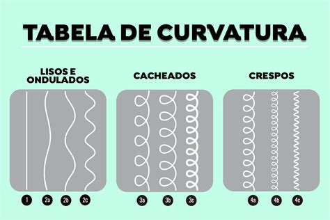 Tipos De Cacheado - Tipos de cabelo cacheado: descubra qual o seu e dicas de cuidado