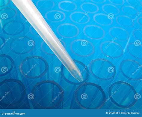 Laboratory Equipment in a Science Research Lab Stock Photo - Image of research, chemistry: 2165944