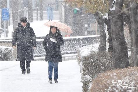 서울 전역에 대설주의보 네이트 뉴스