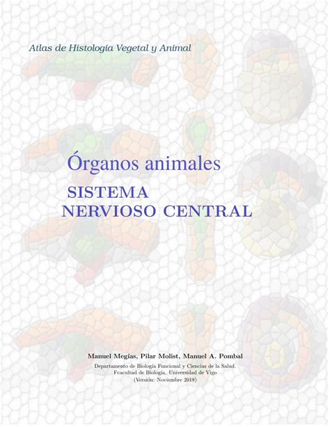 PDF SISTEMA NERVIOSO CENTRAL DOKUMEN TIPS