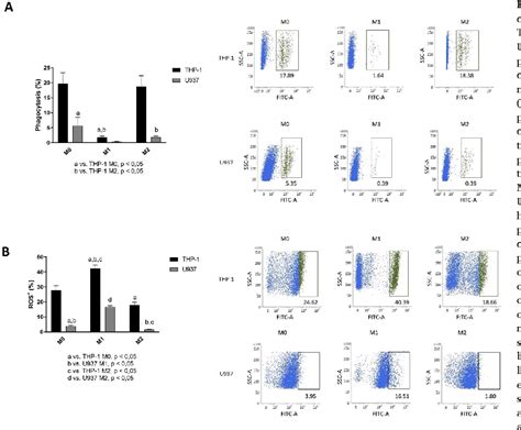 Comparison Of Monocytic Cell Lines U937 And THP 1 As Macrophage Models