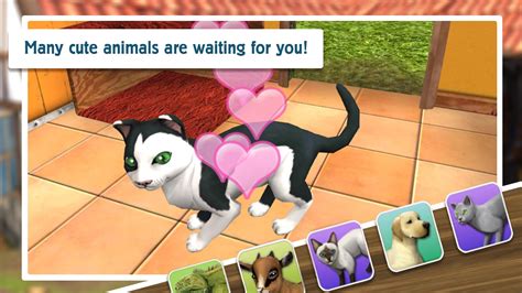 Pet World My Animal Shelter Take Care Of Them For Android Apk