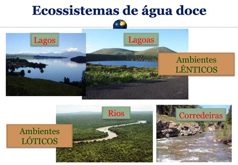 Biologia Viva Ecossistemas Aquaticos