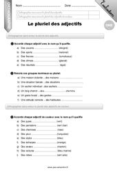 Exercice Accord Adjectif Qualificatif Eme Pdf Cours Exercices Examens