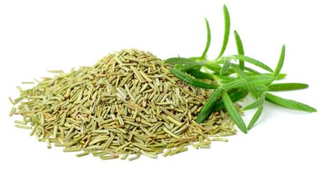 Dried Rosemary Leaves with Fresh Rosemary Isolated on White Stock Image - Image of herbal, ripe ...