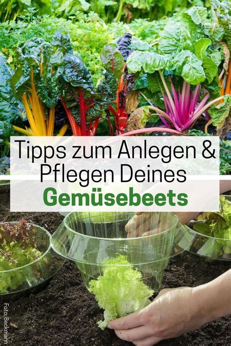 Gemüsebeet selbst de Gemüsebeet Gemüse beet anlegen Gartenarten