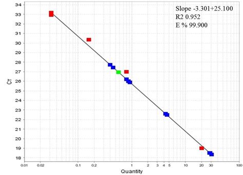 Standard Curve For The Real Time Pcr Of The Amplification Products